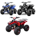Ver imagem 4 de Super Quadriciclo 125cc Preto, Automático, com Ré 0km Dsr