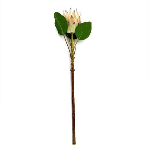 Haste de Flor Artificial Protea Frosted com Coat Salmão 70 Cm F04 - D’Rossi