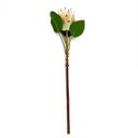 Ver imagem 1 de Haste de Flor Artificial Protea Frosted com Coat Salmão 70 Cm F04 - D’Rossi
