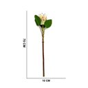 Ver imagem 4 de Haste de Flor Artificial Protea Frosted com Coat Salmão 70 Cm F04 - D’Rossi