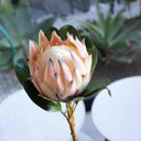 Ver imagem 2 de Haste de Flor Artificial Protea Frosted com Coat Salmão 70 Cm F04 - D’Rossi