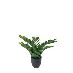 Folhas Zamioculca Verde Escuro com Vaso Médio Planta Artificial Único - 1