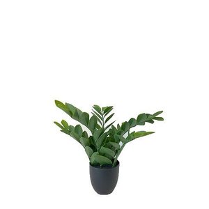 Folhas Zamioculca Verde Escuro com Vaso Médio Planta Artificial Único