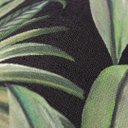 Ver imagem 3 de Papel de Parede Folhas e Tucano Verde e Preto+ Cola Inclusa