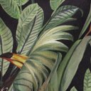 Ver imagem 4 de Papel de Parede Folhas e Tucano Verde e Preto+ Cola Inclusa