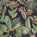 Ver imagem 2 de Papel de Parede Folhas e Tucano Verde e Preto+ Cola Inclusa