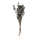 Ver imagem 1 de Berry Desidratada com 9 60cm Preto Florarte Flor Arte