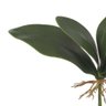 Folha de Orquídea Phalaenopsis com Arame X5 Verde 27 Cm - 3