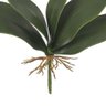 Folha de Orquídea Phalaenopsis com Arame X5 Verde 27 Cm - 4