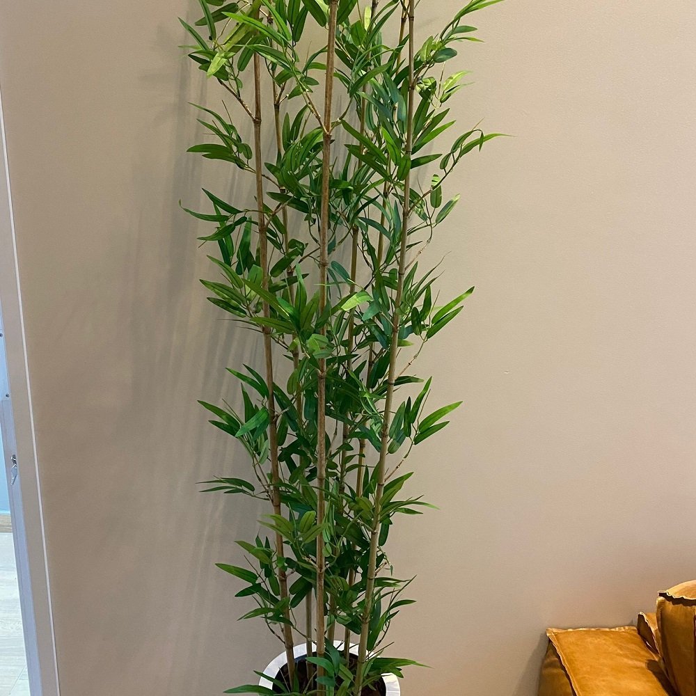Bambu Mossô Artificial 6 Hastes Planta Alta no Gesso + Vaso Decore Fácil Shop - 4