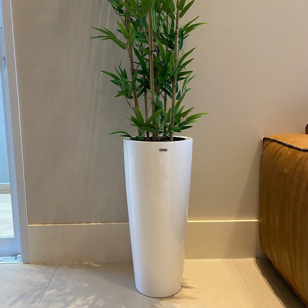 Bambu Mossô Artificial 6 Hastes Planta Alta no Gesso + Vaso Decore Fácil Shop - 2