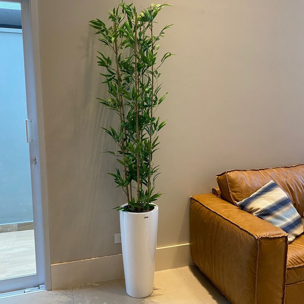 Bambu Mossô Artificial 6 Hastes Planta Alta no Gesso + Vaso Decore Fácil Shop - 1