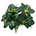 Ver imagem 3 de 10 Buquês de Peperômia (25cm) Artificial Revestida em Silicone - Planta Decorativa Realismo Superior