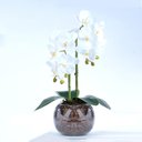 Ver imagem 1 de Arranjo 2 Orquídeas Artificiais Brancas em Vaso Incolor Julia