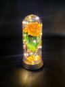 Ver imagem 1 de Luminária a Rosa Encantada a Bela e a Fera o Pequeno Príncipe Amor Lindo Média - Laranja