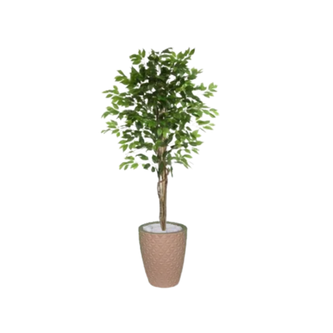 Planta Artificial Ficus Verde 1,50 kit + Vaso E. Bege 30 cm