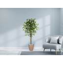 Ver imagem 2 de Planta Artificial Ficus Verde 1,50 kit + Vaso E. Bege 30 cm