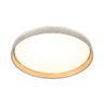 Plafon de Sobrepor Redondo Acrilico Dourado 40cm Led 60w 3 Cores Bivolt Paris Luz - 1