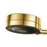 Chuveiro Docol Novo Technoshower 1204843 de Parede Ouro Polido - 2