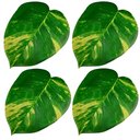 Ver imagem 1 de Kit 4 Pçs Jogo Americano Sousplat Decoração Mesa Posta Jantar Formato Folha