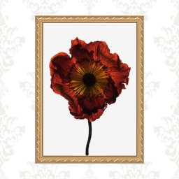 Quadro Moldura Dourada Flor Cor Vinho 24x18cm:com Vidro - 1