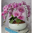 Ver imagem 1 de Arranjo Com 4 Orquídeas Violeta Vaso Ceramica 28cm