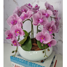 Arranjo Com 4 Orquídeas Violeta Vaso Ceramica 28cm - 3
