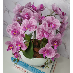Arranjo Com 4 Orquídeas Violeta Vaso Ceramica 28cm - 2
