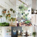 Ver mais imagens de Corda Cordão Fio 8mm Cru Algodão - 20m - São José Artesanato macramê, tapetes, suportes de plantas, 