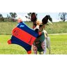 Frisbee Flying Squirrel Chuck It P/ Brincadeiras Aquáticas e Ao Ar Livre - 3