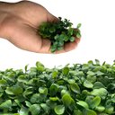 Ver imagem 4 de Kit 18 Painéis Artificiais para Muro Verde com Buxinho Premium e Proteção UV