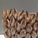 Ver imagem 5 de Vaso Decorativo Enfeite Casa Cerâmica 16x18x18cm Bege