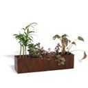 Ver imagem 1 de Cachepot para suculentas 4 vasos AMOR Geguton