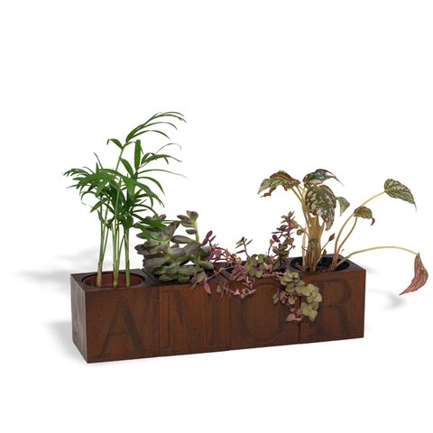 Cachepot para suculentas 4 vasos AMOR Geguton