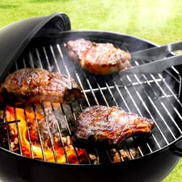 Churrasqueira Bafo Carvao Dobravel Portatil Bafinho Mini Acabamento Premium Mesa Praia Jardim - 3