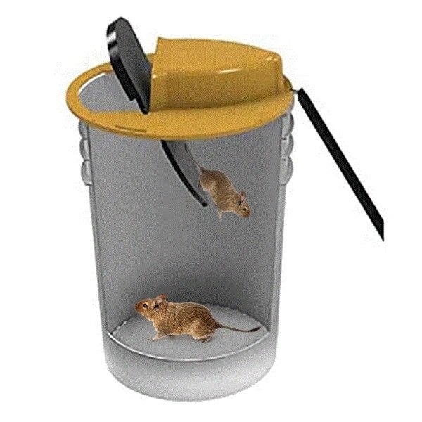 Ratoeira Armadilha Captura Pega Ratos Reutilizavel Ratazana Camundongo Pestes - 8