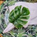 Ver imagem 2 de Kit 100 Porta Guardanapos Costela de Adão Verde