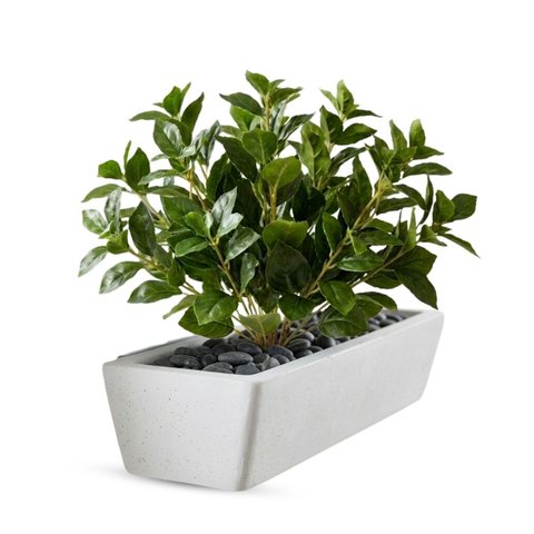 Kit com 12 Peperômia Artificial 80cm – Folhagem Permanente para Vasos e Decoração Interna