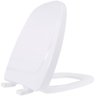 Assento Sanitario Pp Monte Carlo Tupan Cores - 1