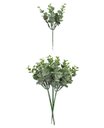Ver imagem 1 de Buquê Pick Eucalipto X6 -23 Cm | Formosinha