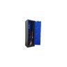 Cofre de 130x38x36 para 14 Armas (05) Longas e (09) Curtas Cr Cac Eb - 2