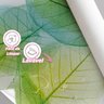 Papel de Parede 3M Adesivo Folha De esqueleto verde Estilo folhagem Rendada Auto Colante - 3