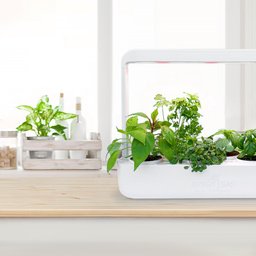 Horta Inteligente Hortaliças Com 6 Vasos E Iluminação De Led - 1