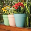 Ver imagem 5 de Vaso Plástico Unique 16 (16x14cm) Verde Japi