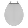 Assento Sanitário Poliéster para Louça Ravena (deca) Aço (reb. Oculto) Cinza Real - 1
