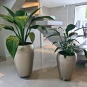 Ver imagem 2 de Vaso Vietnamita Fibra de Vidro Tóquio g 74cm Grande Plantas Champagne