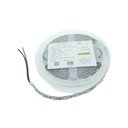 Ver imagem 1 de Fita De Led 60 Leds Por Metro 50 X 50 Branca (Luz Fria) 6500 K Com 5 Metros