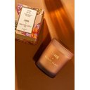 Ver imagem 3 de Vela Perfumada Terra do Sol Lenvie+agua de Coco - 210g