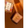 Vela Perfumada Terra do Sol Lenvie+agua de Coco - 210g - 3