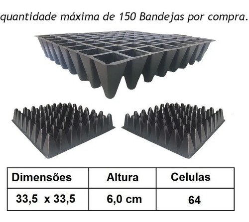 Kit 40 Bandeja Sementeira Para Produção De Mudas 64 Células - 2